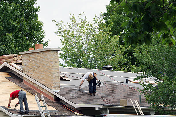 Best Roof Gutter Cleaning  in Baxter, MN
