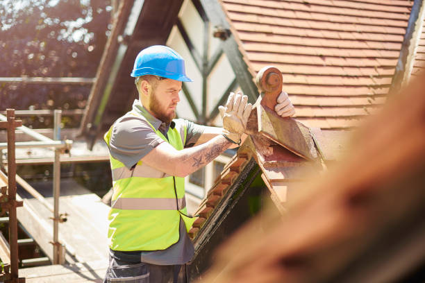 Best Roof Repair Services  in Baxter, MN